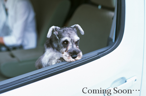 ネクスパーク七松町